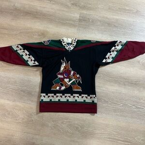 Vintage 90s Phoenix Coyotes Starter NHL Jersey